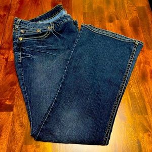 Silver Jeans Aiko Fit Plus Size